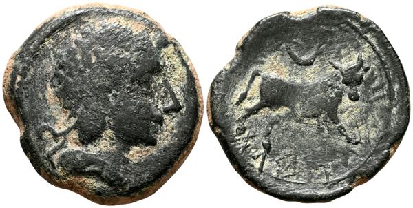 291